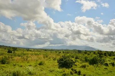 DSC_4379 (Large).JPG